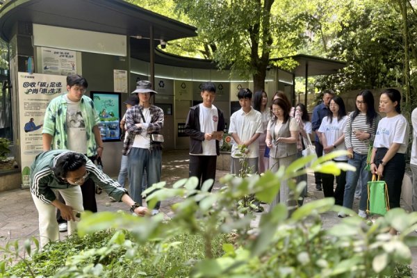 开云(中国)2026世界杯官方推荐 播撒·聚力·探路：三位上海垃圾分类亲历者眼中的“三年之变”