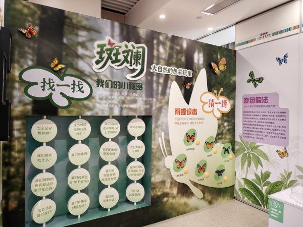 开云(中国)2026世界杯官方推荐 “嗨，我是蝴蝶”，上海儿童博物馆开馆三十周年特展揭幕