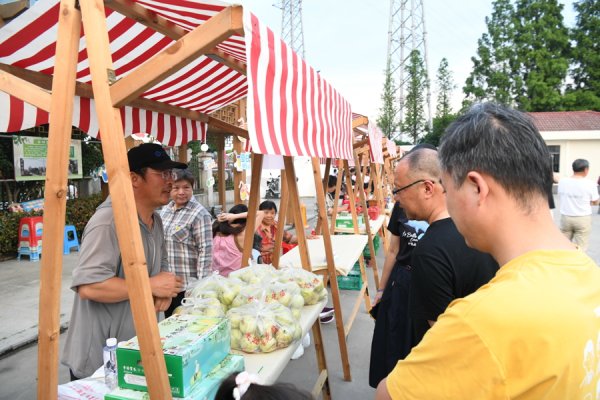开云(中国)2026世界杯官方推荐 2026亭林雪瓜销售季开启，品性更优，价钱与旧年执平