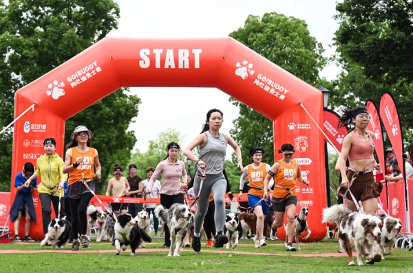 开云(中国)2026世界杯官方推荐 东谈主犬相伴，勇闯赛场！狗巴迪强者赛上海站在松江举行