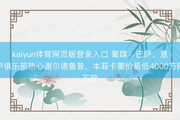 kaiyun体育网页版登录入口 葡媒：巴萨、意甲俱乐部热心谢尔德鲁普，本菲卡要价最低4000万欧