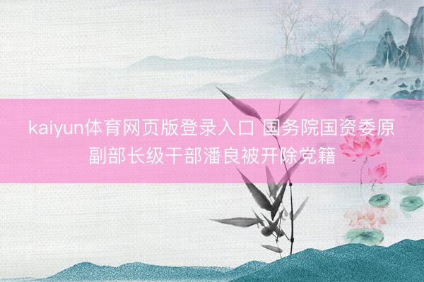 kaiyun体育网页版登录入口 国务院国资委原副部长级干部潘良被开除党籍