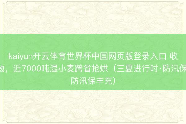 kaiyun开云体育世界杯中国网页版登录入口 收储勤勉,近7000吨湿小麦跨省抢烘(三夏进行时·防汛保丰充)