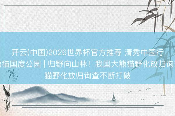 开云(中国)2026世界杯官方推荐 清秀中国行・探望大熊猫国度公园 | 归野向山林！我国大熊猫野化放归询查不断打破